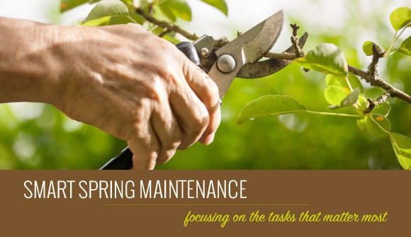 Spring Maintenance